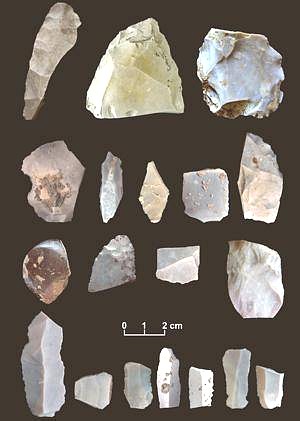 тысячи каменных инструментов, возраст которых оценивается примерно в 15 500 лет